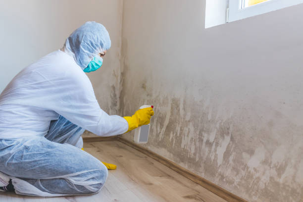 Mold inspector in Port Monmouth performing thermal imaging